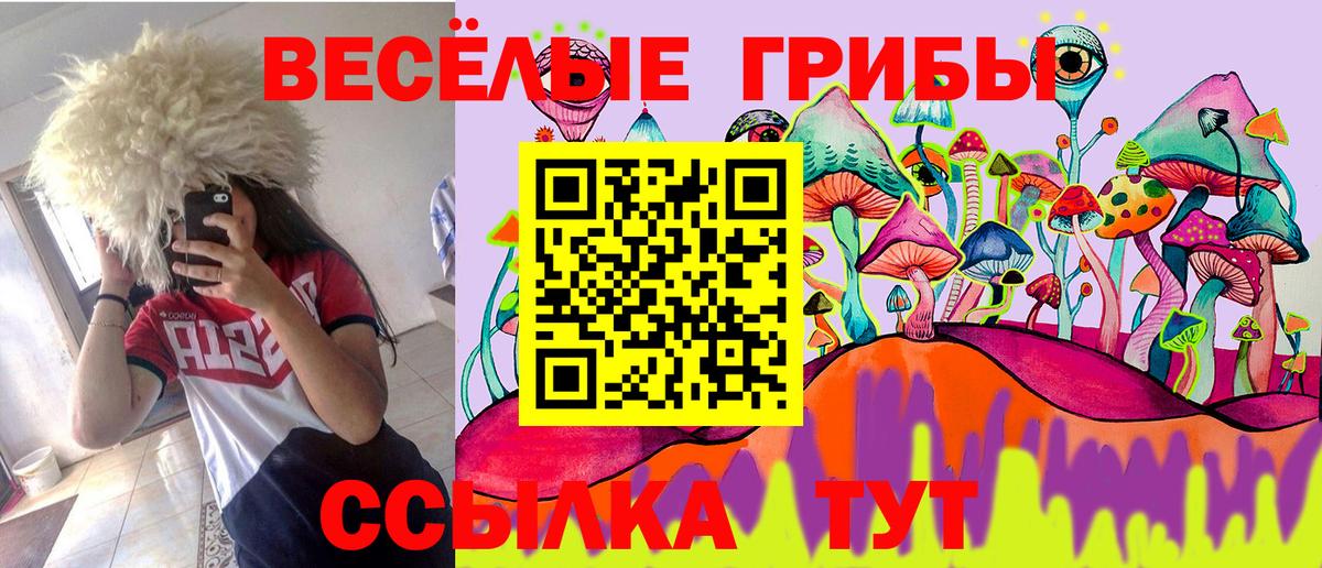 Кириши  Галлюциногенные грибы ЛСД  даркнет сайт  Вход с VPN 