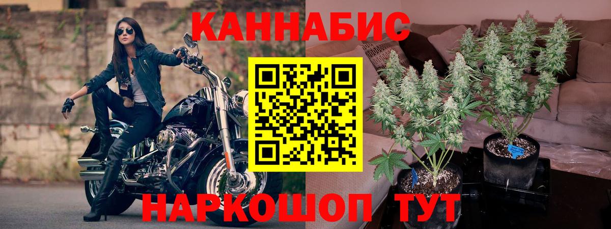 Шишки марихуана планчик Кириши
